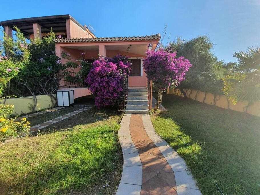 Casa Vacanze Lolivastro 阿尔巴塔克斯 外观 照片